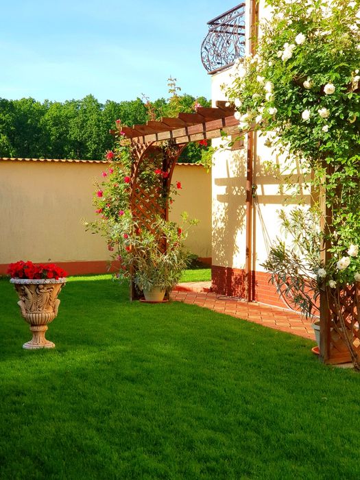 Ofer catre inchiriat pe termen lung, vila de lux in cartier Trivale.