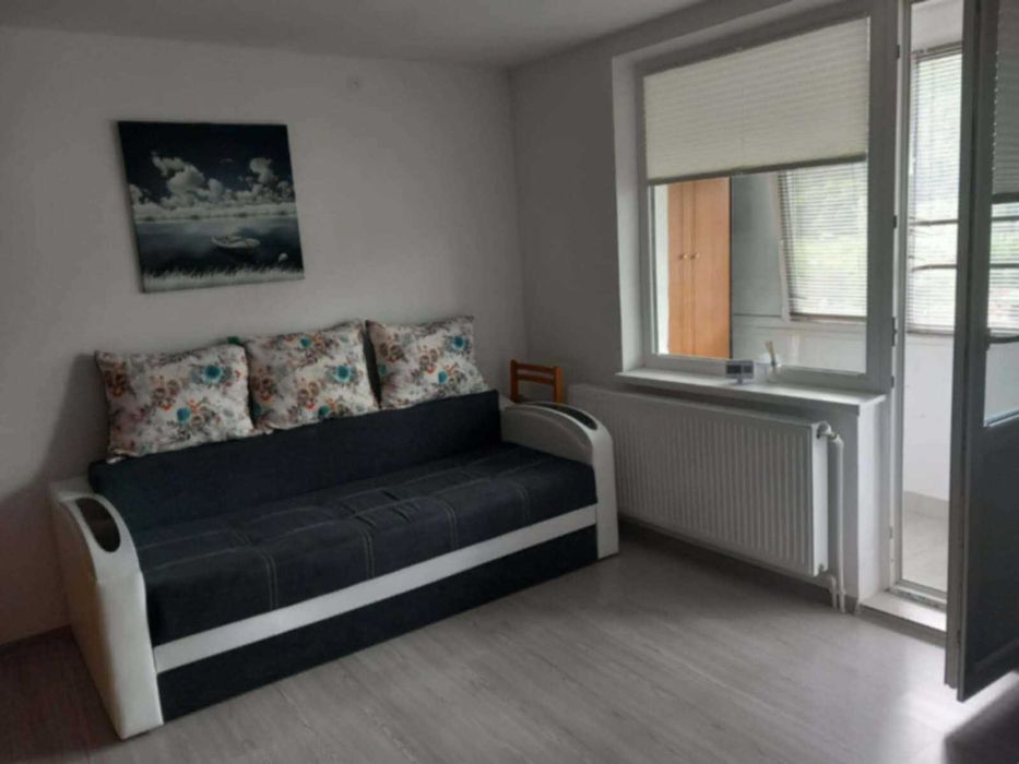 Apartament 1 camera Precista