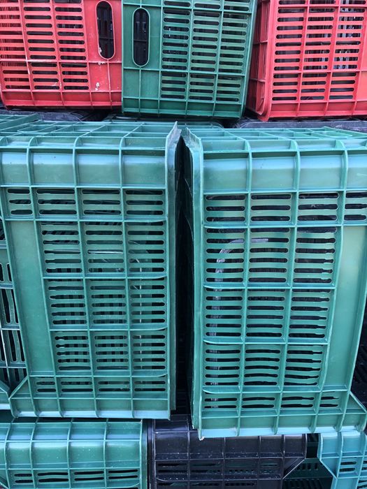 Lazi de plastic pentru fructe-legume…