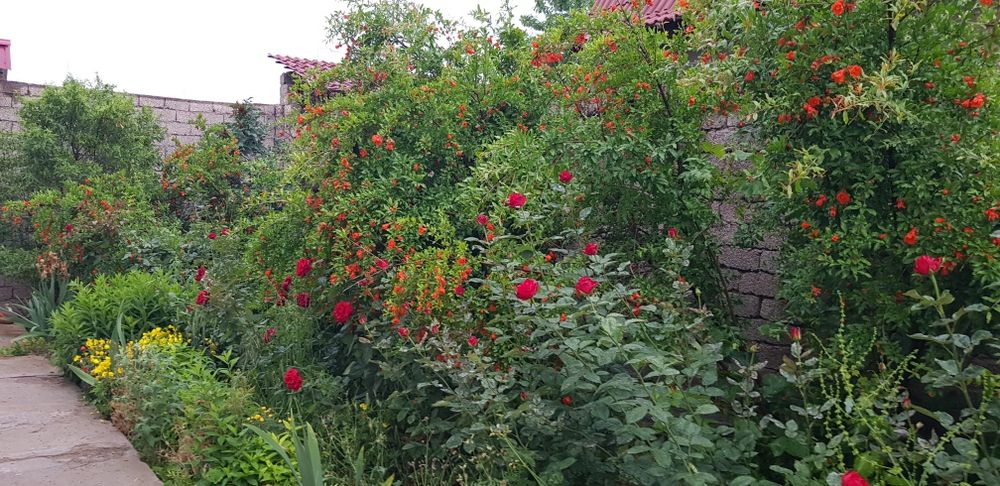 Продается дом-дача за Тойтепой