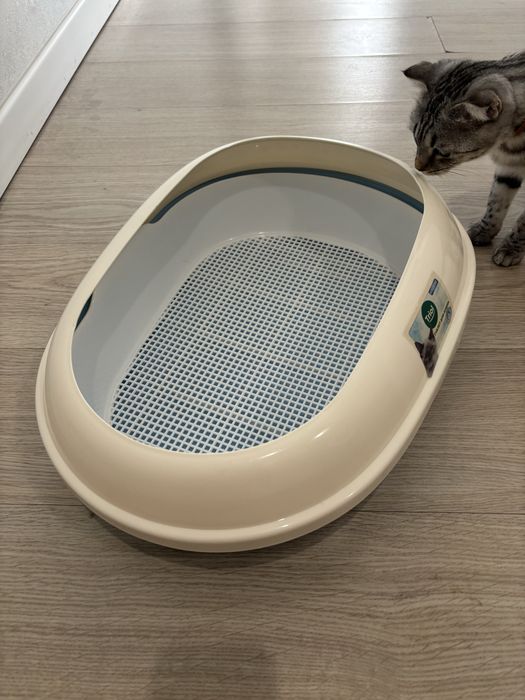 Лоток для котенка