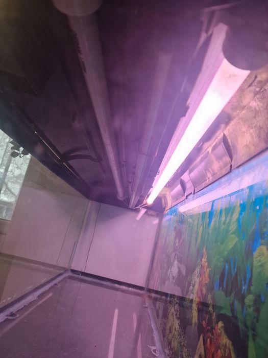 Acvariu 180 L cu capac si lumini