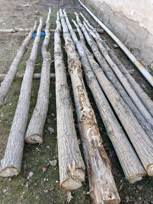 Тераклар ва утинлар сотилади.
Шахсий ховлида турибди.