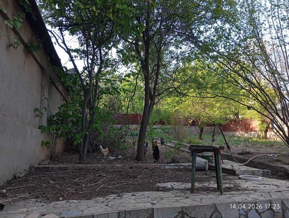 ОЧЕНЬ СРОЧНО!!! Продается дача 10 сот