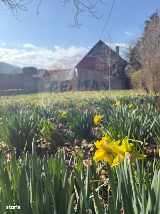 Casă / Vilă cu 3 camere de vânzare