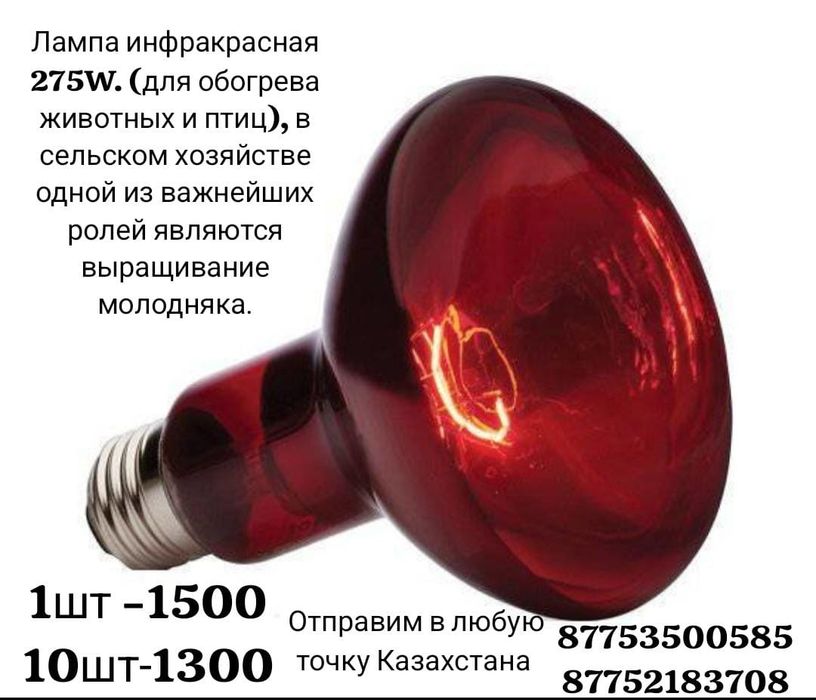 Инфрокрасная лампа 275 w