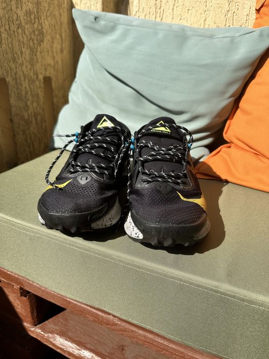 Nike Pegasus Trail 2