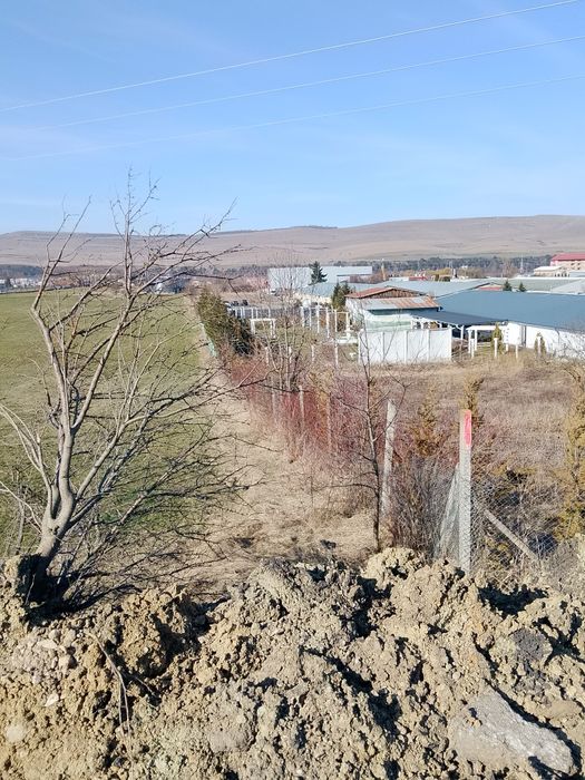 Vand teren intravilan  Florești luna de sus  Cluj