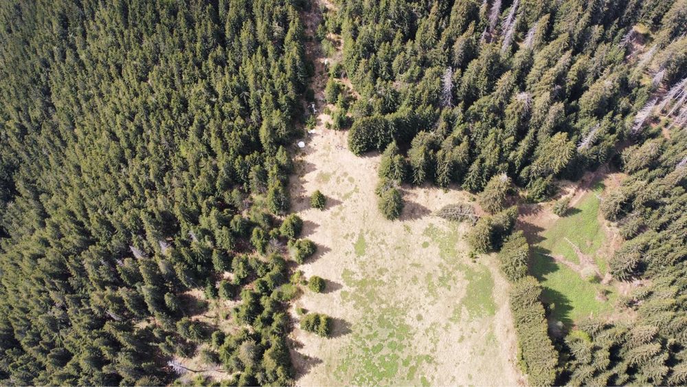 Teren intravilan cabana Urlea, munţii Făgăraş