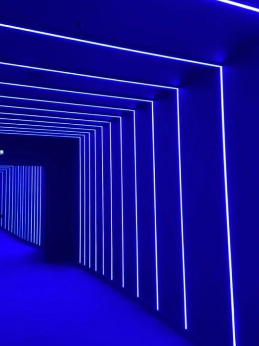 Гибкая неоновая LED лента на 220/12V (neon flex, подсветка метражная)