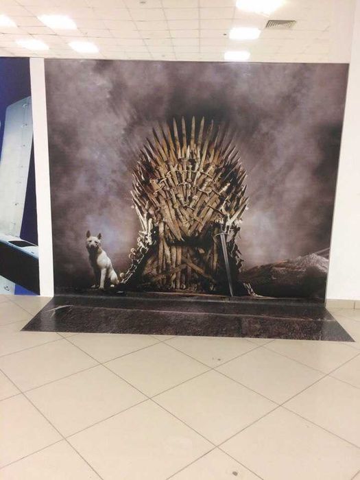 3D баннерные картины