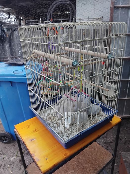 Colivie pentru perusi ,agapornis,micul alexandru