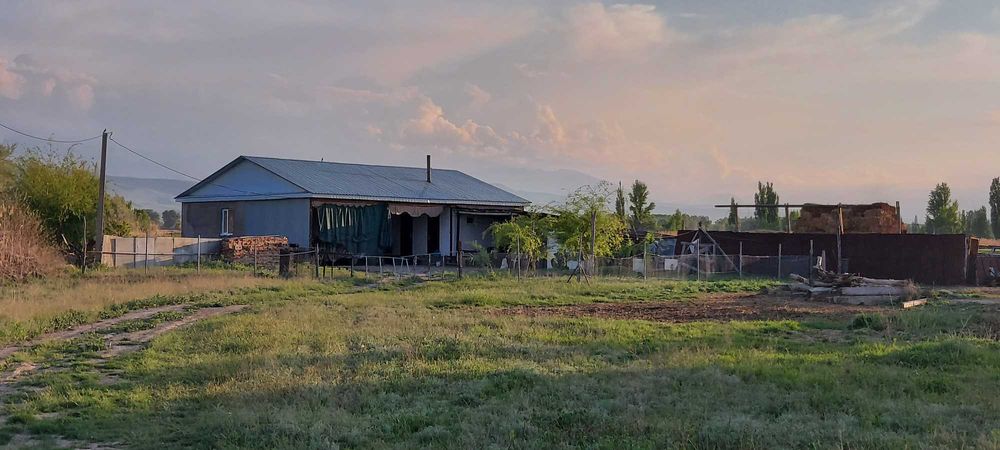 Продам дом и землю