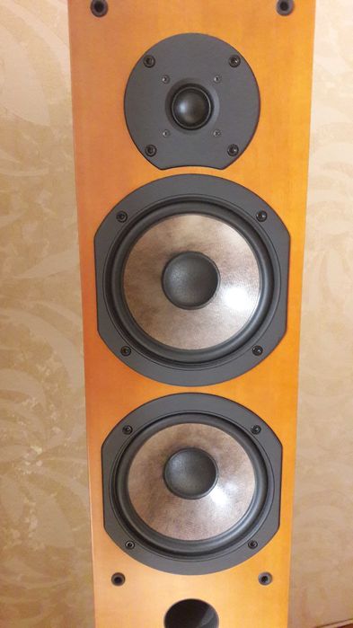 Акустика Онкио Д 605 ф .