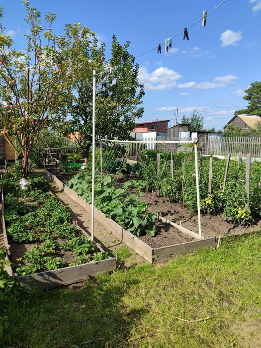 Продам дачу в новопавловке