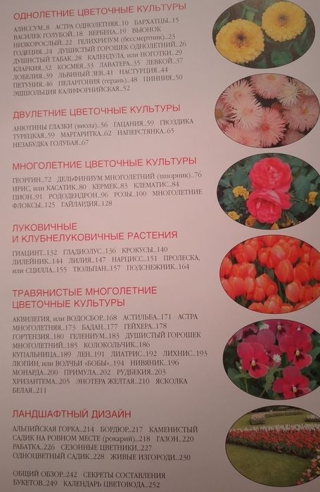 Цветы на вашем участке