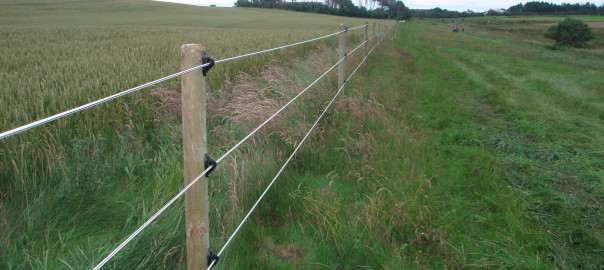 Stalpi sustinere gard electric