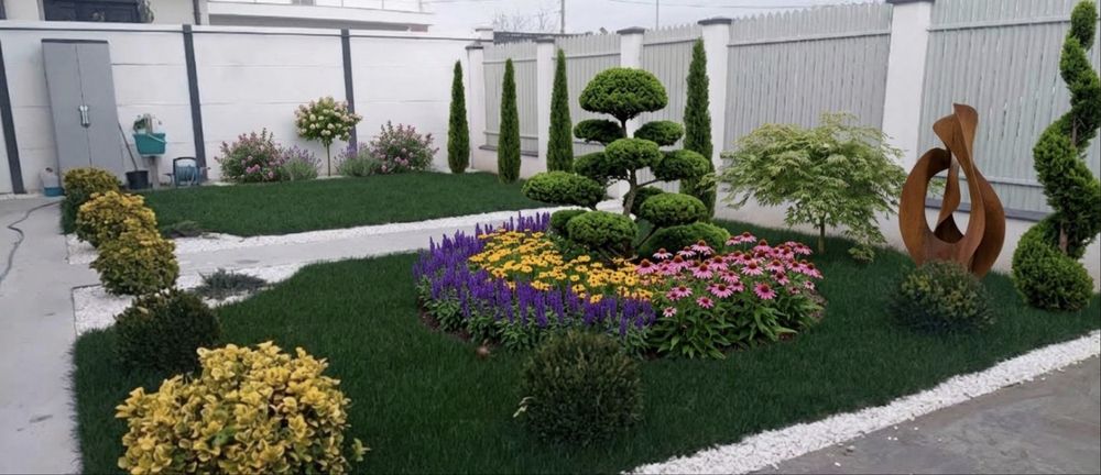 Plante ornamentale
