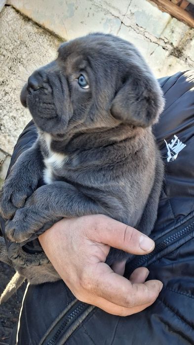 Момиченце игриво