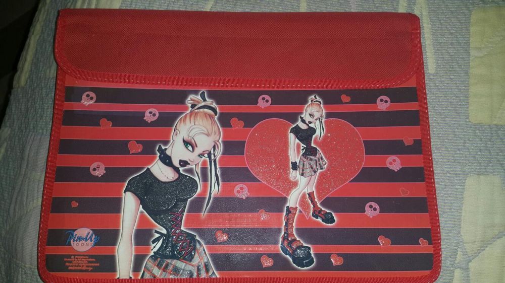 Папка для школьных принадлежностей