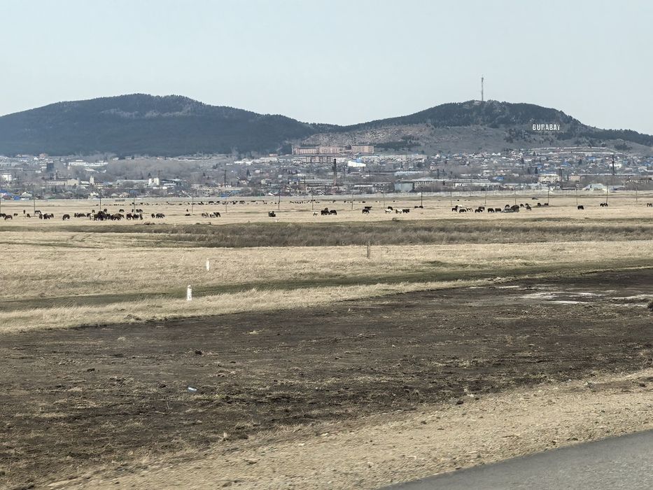 Продам дом около Борового