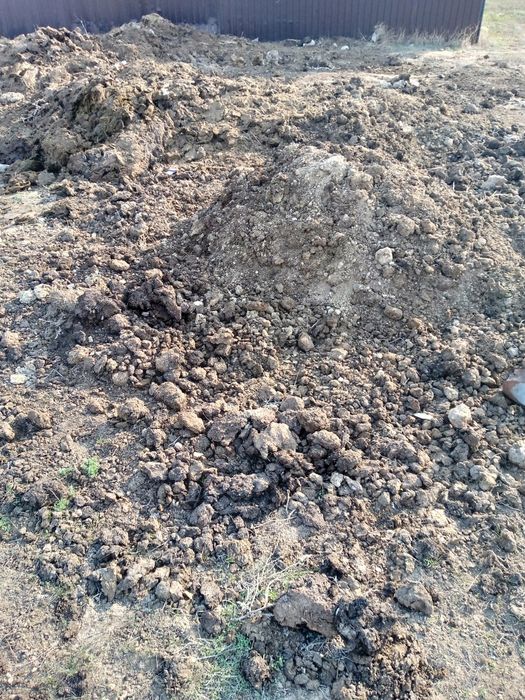 Отдам Даром навоз