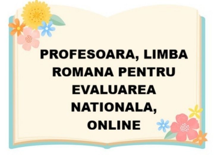 Testare și meditatii limba română