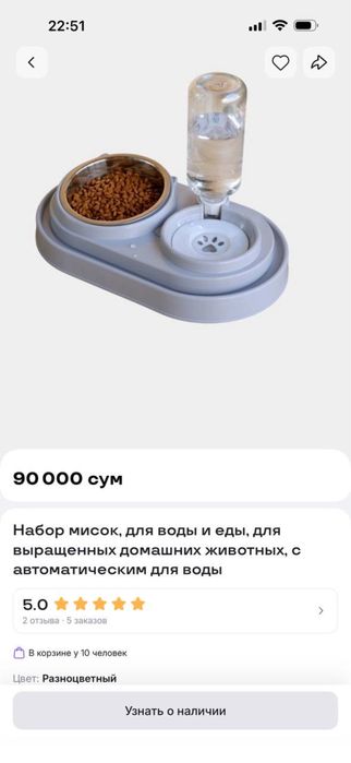 Срочно продаются две чистокровные кошки Скоттиш Фолд и Скоттиш Страйт