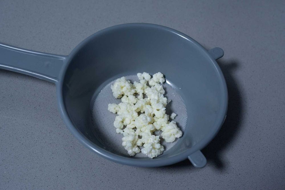 Vând ciuperca chefir