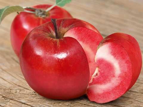 Ябълка  RedLove “Sirena”  – “ Червена луна”