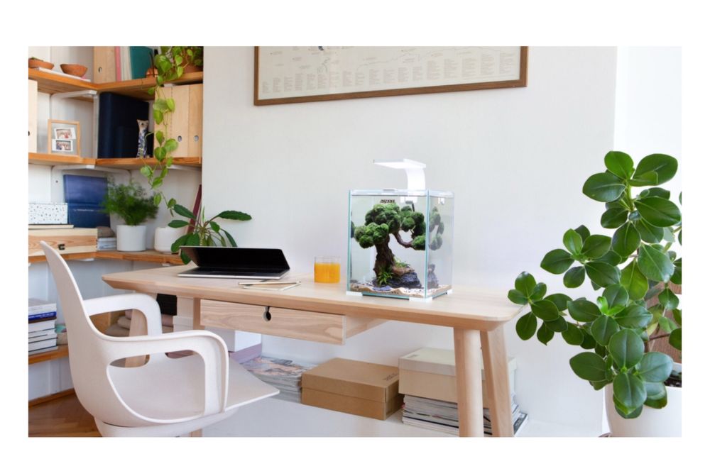 Аквариум Aquael Shrimp Set 20