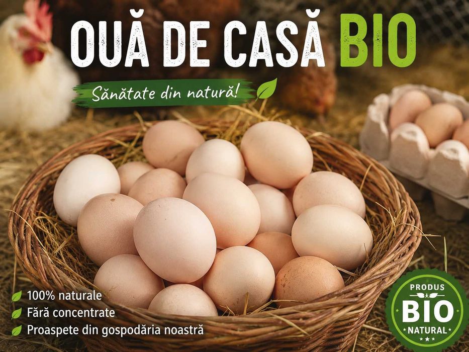 Vând ouă de casă bio pt consum–proaspete, naturale, fără concentrate