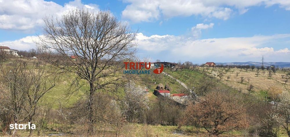Teren 1654 mp zona Cetate Schit