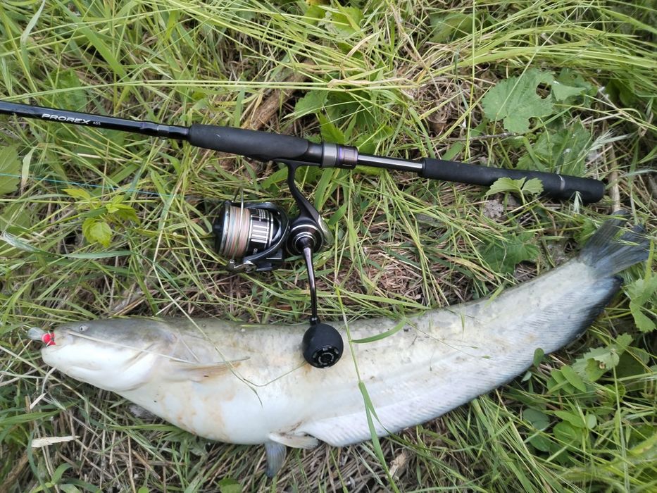 Спининг въдици - Daiwa Prorex AGS