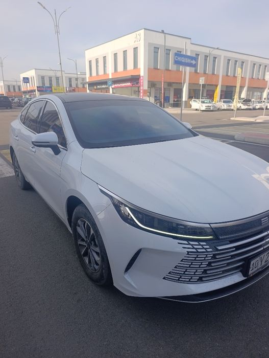 Byd chazor 55
Yili 2024 
35000 yurgan 
4 yaxwi balo