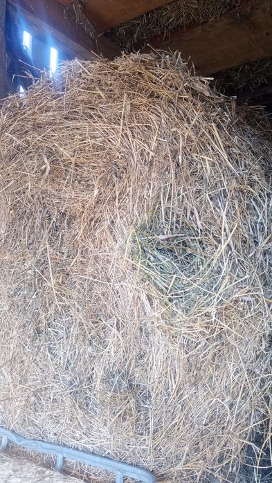 Baloți rotunzi de lucernă și otavă măruntă