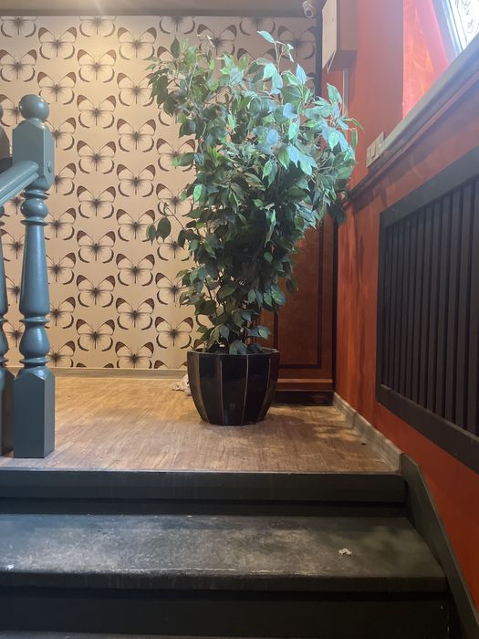 Вазоны керамические