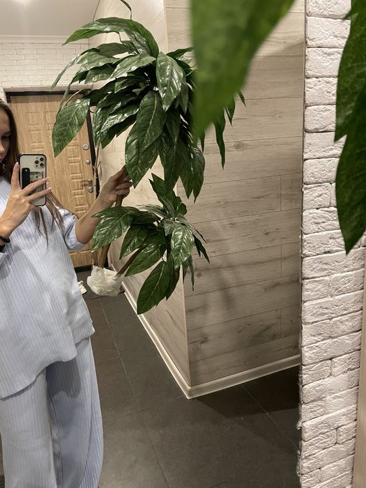 Искусственный цветок Манго