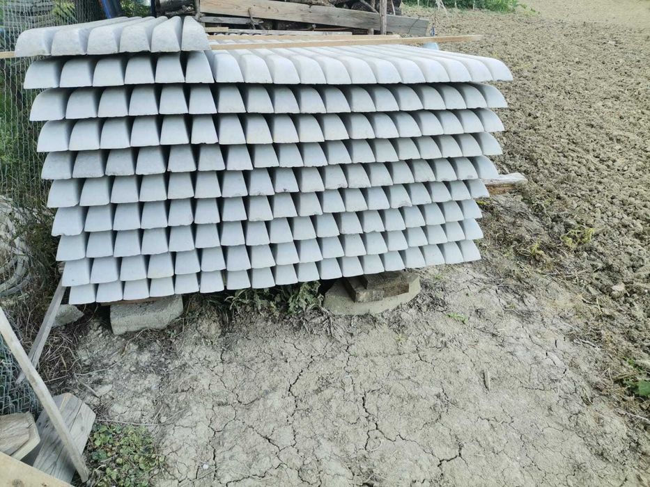 stalpi de gard sau vie