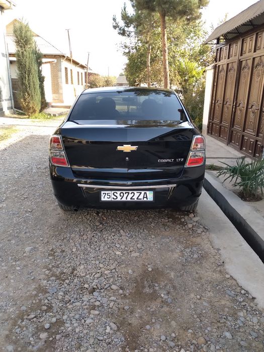 Cobalt midnight 2025,