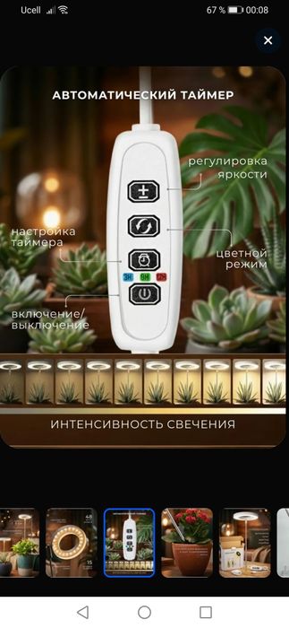 Фито лампа для растений