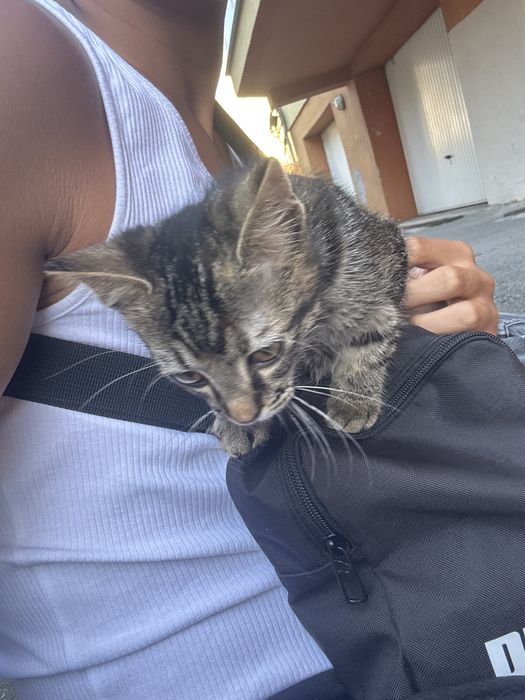 Cleopatra cauta o familie care sa o iubeasca