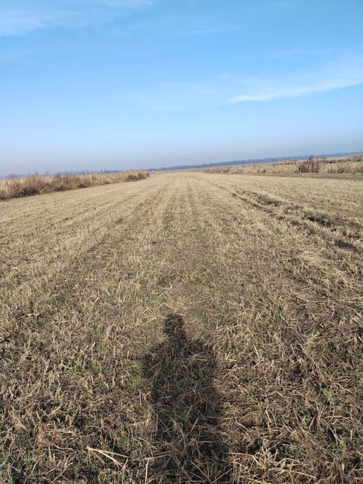 Продам землю К/Х