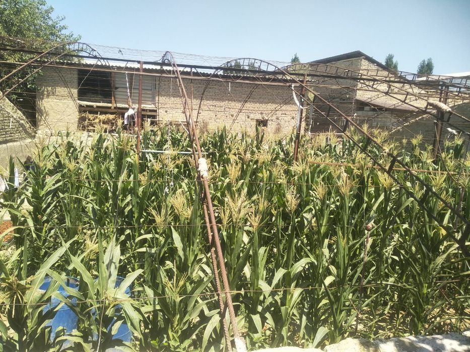 8 сотихлик ховли уй сотилади жихозлар Билан.