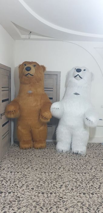 Remont damlik ayiqlar