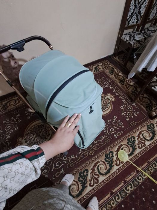 Детисткий каляска