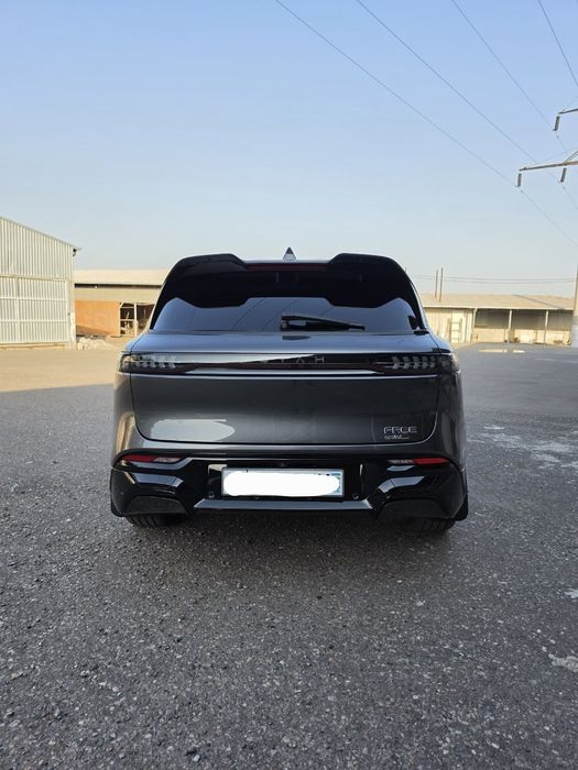 Voyah free apollo tech 318