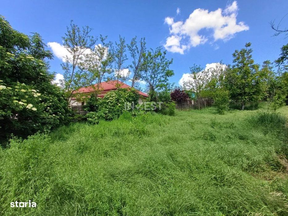 Teren Intravilan, 602 Mp, Rediu
