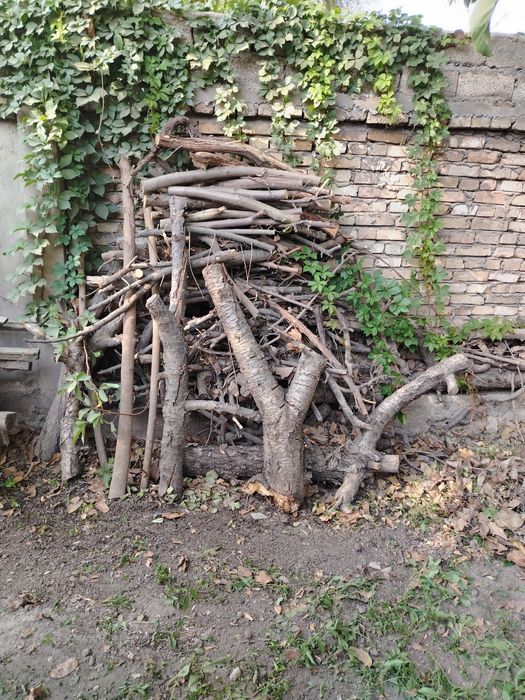 дрова из фруктовых деревьев-черешня,вишня,слива,орех  в объеме 2 куба