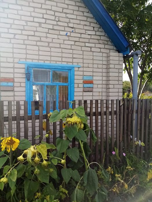 Дача в общещстве Ромашка